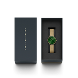 Daniel Wellington Ladies Watch Dw00100479