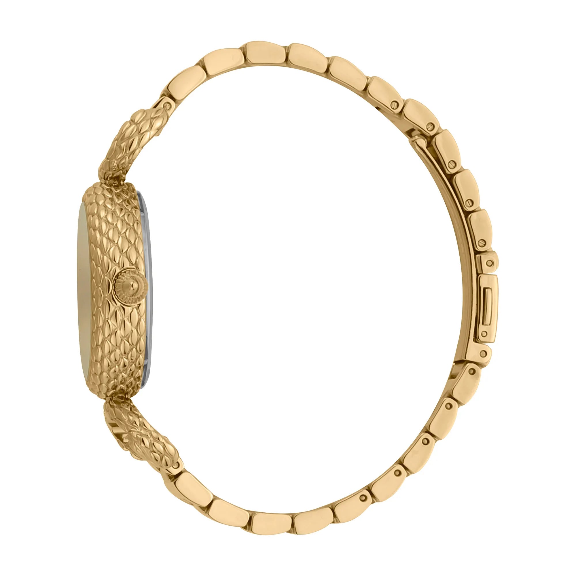 Just Cavalli Snake Inside Gold Champagne