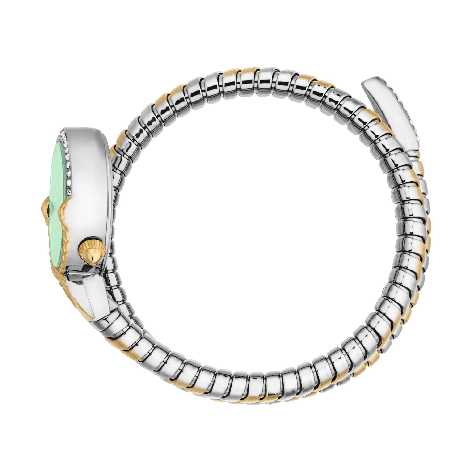Just Cavalli Radiosa Two Tones YG Silver Green