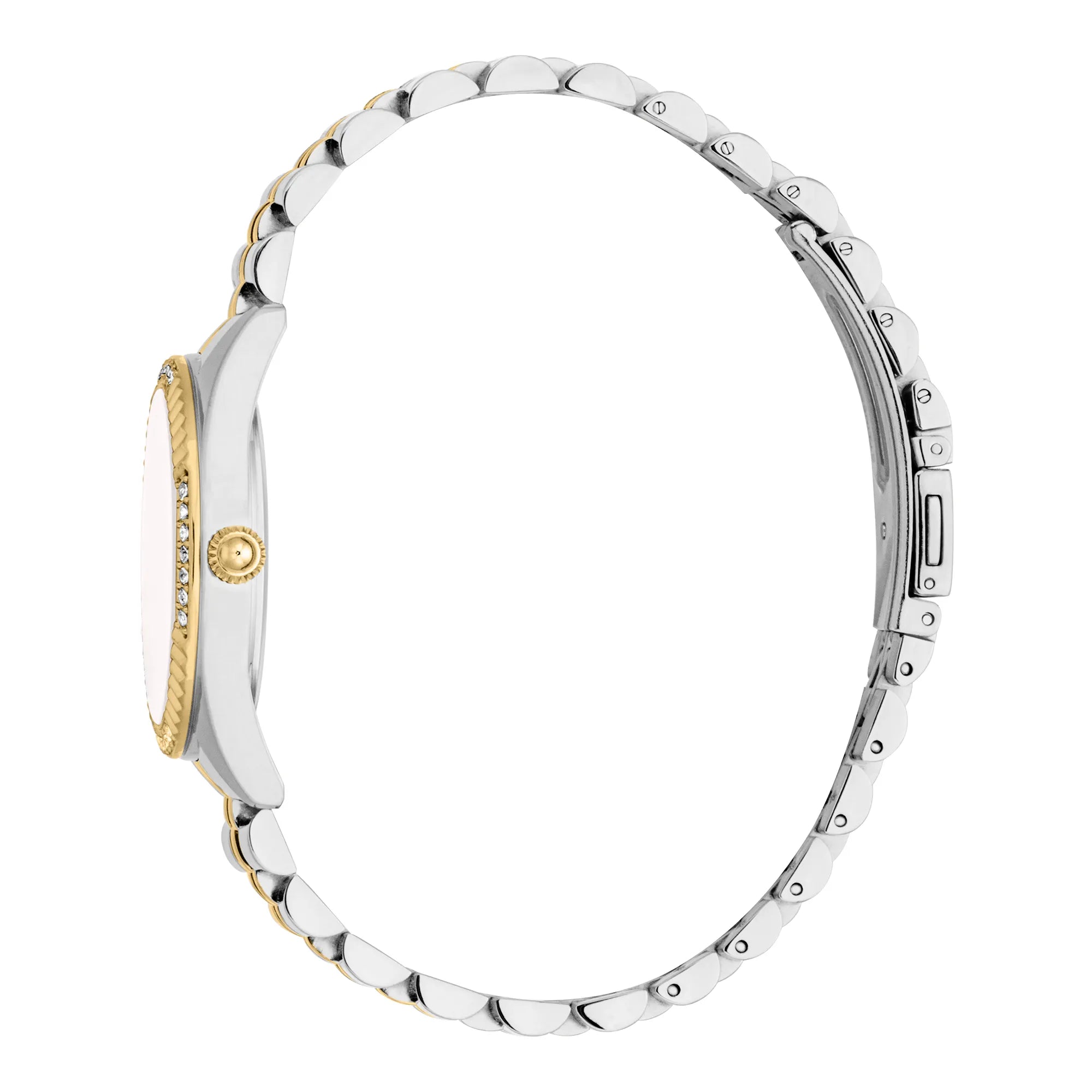 Just Cavalli Vittoria Glam Two Tones YG Silver