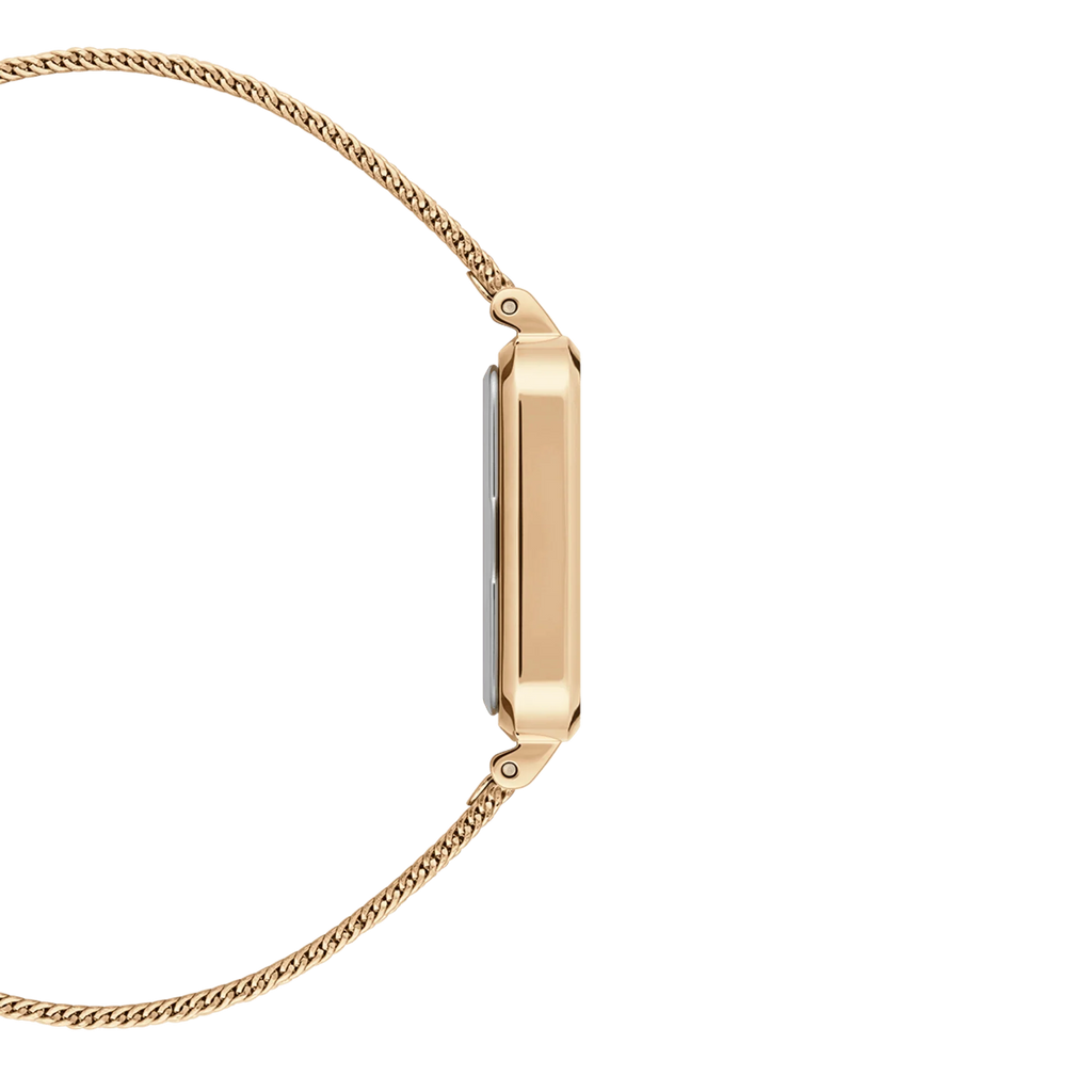 Daniel Wellington Ladies Gold Watch DW00100556