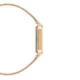 Daniel Wellington Ladies Gold Watch DW00100556