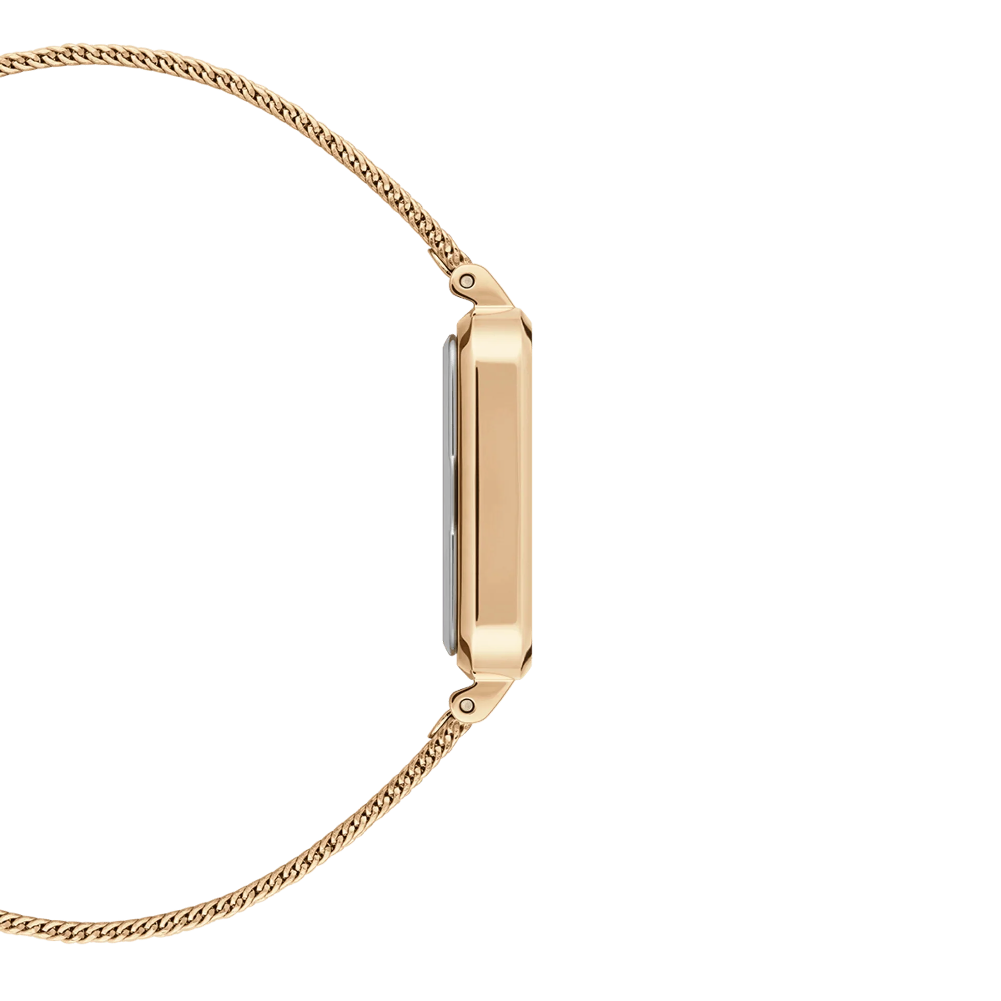 Daniel Wellington Ladies Gold Watch DW00100556